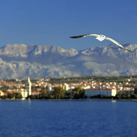 Apartment Luce Mala One Bedroom Zadar